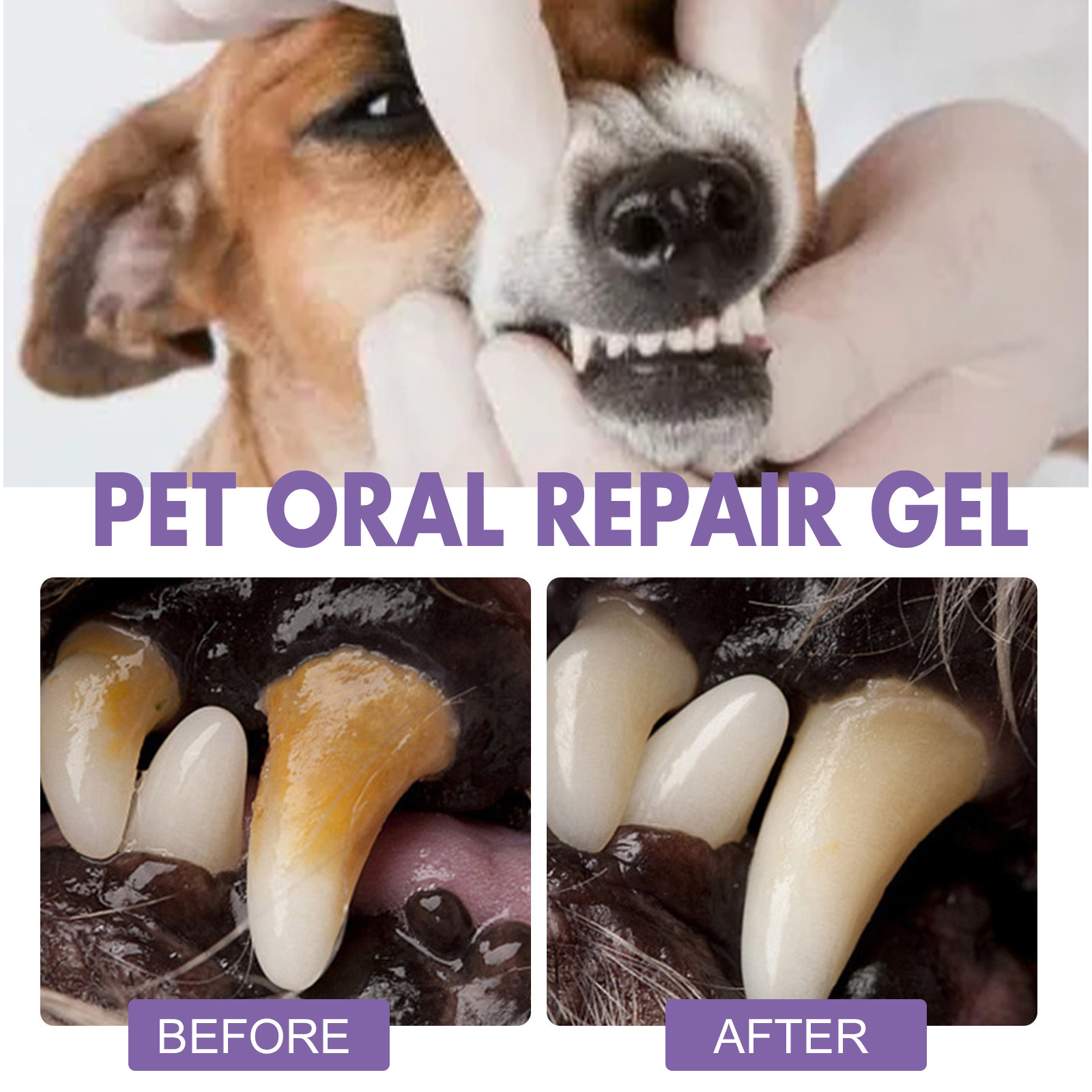 Pet Oral Repair Gel Puppy Tart - đánh giá và giá Teeth Whitening With Peroxide
