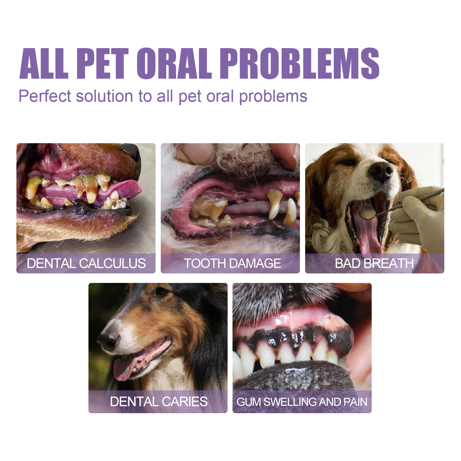 Pet Oral Repair Gel Puppy Tart - đánh giá và giá Teeth Whitening With Peroxide