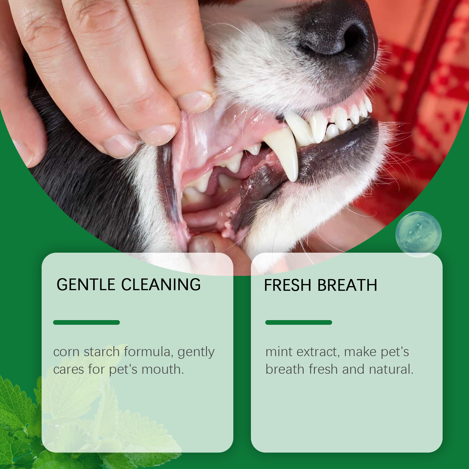 Pet Teeth Cleaning Powder Redu - đánh giá và giá Teeth Whitening Lab