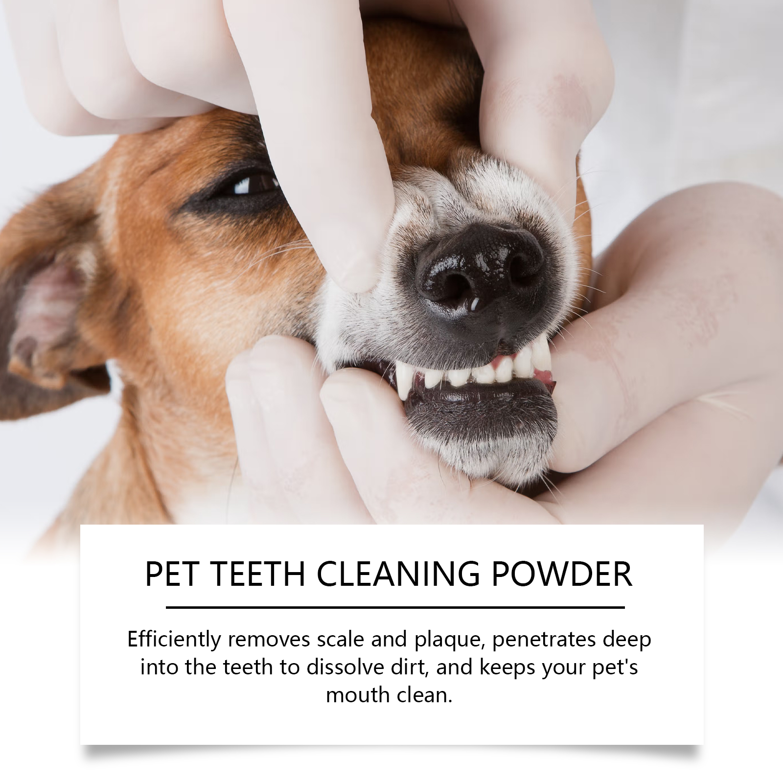 Pet Teeth Cleaning Powder Redu - đánh giá và giá Teeth Whitening Lab