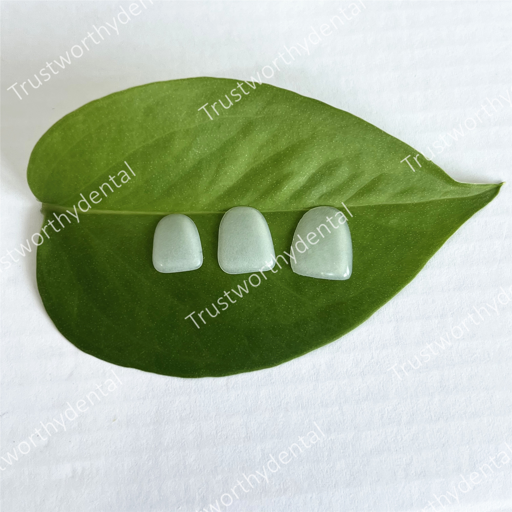 Dental Composite Porcelain Ven - đánh giá và giá Teeth Paint Whitening