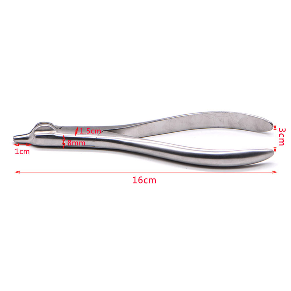 Dental Plier Forceps Dental La - đánh giá và giá Teeth Whitening Lab