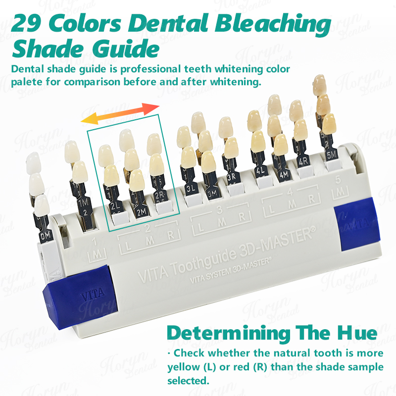 Vita 3D Master Dental Lab Blea - đánh giá và giá Teeth Whitening Lab