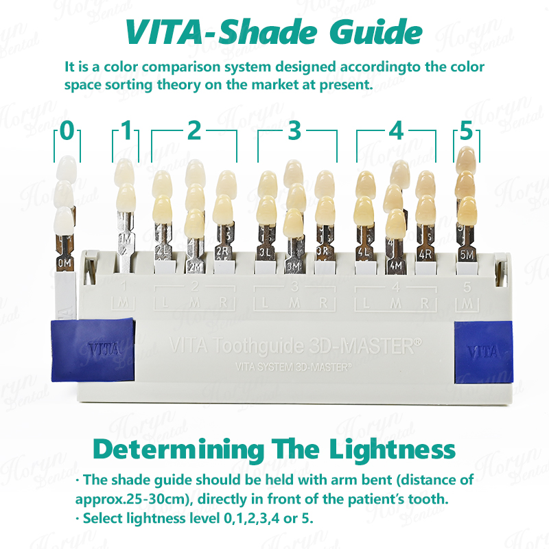 Vita 3D Master Dental Lab Blea - đánh giá và giá Teeth Whitening Lab
