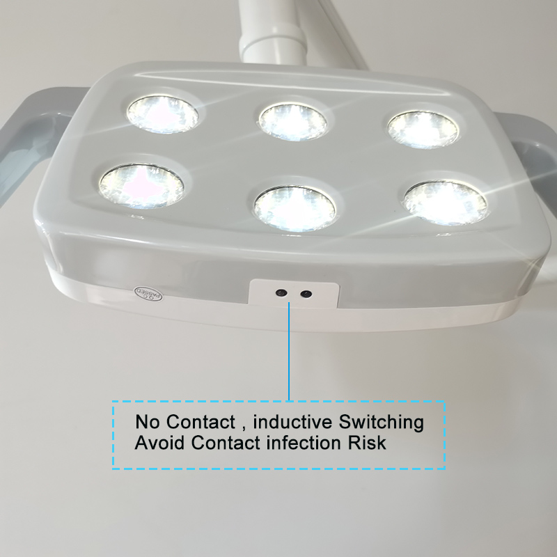 6LED Dental LED Lamp Oral Ligh - đánh giá và giá Teeth Whitening Express