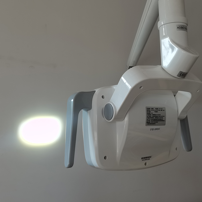 6LED Dental LED Lamp Oral Ligh - đánh giá và giá Teeth Whitening Express